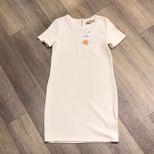 Zara Body Con Dress